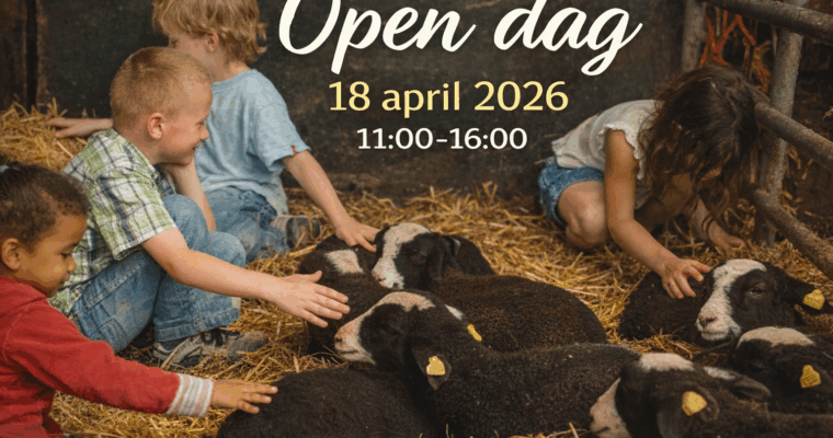 Open Dag – zorgboerderij